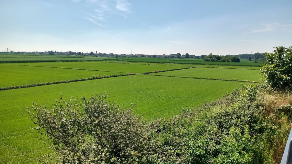 Pernate, polo logistico: sottoscrizione per il nuovo ricorso